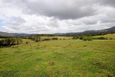 Eastern Boundary Road Bellangry NSW 2446 - Image 1