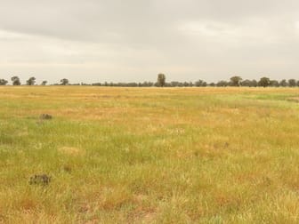 "Hillview" Goldfields Way Temora NSW 2666 - Image 3