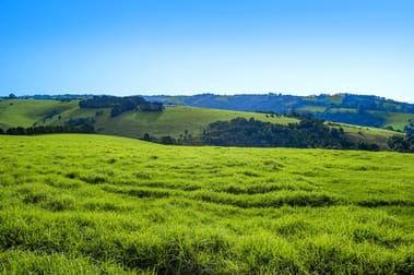 Waterfall Way Dorrigo NSW 2453 - Image 2
