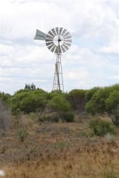 10775 Binnu West Road Binnu WA 6532 - Image 3