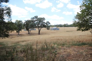 99 Stanley Park Road Young NSW 2594 - Image 3