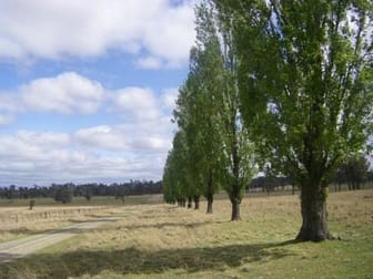 1 GOSTWYCK ROAD Uralla NSW 2358 - Image 3