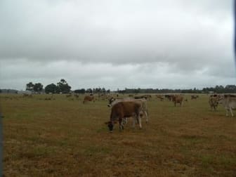 390 Oates Road Busselton WA 6280 - Image 3