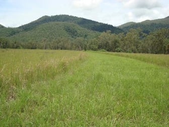 294 Pinevale Road Mia Mia QLD 4754 - Image 1