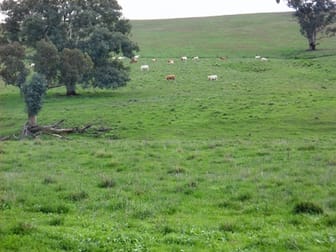 1320 George Russell Dr Canowindra NSW 2804 - Image 1