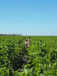 10 Goodooga - Jakelwar Road Dirranbandi QLD 4486 - Image 2