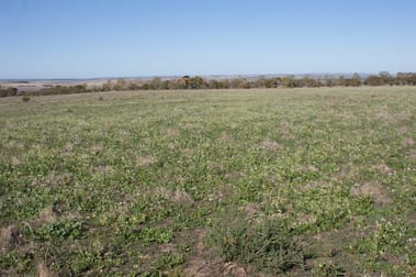 LOT 66 Strawberry North East Road Mingenew WA 6522 - Image 2
