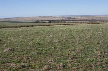 LOT 66 Strawberry North East Road Mingenew WA 6522 - Image 3