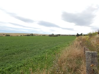 Rose Valley Rd  & Monaro Hwy Bunyan NSW 2630 - Image 3