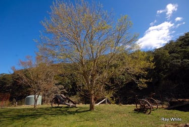 269 Torpy's Lane Braidwood NSW 2622 - Image 3