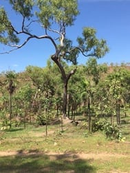 165 Wooliana Road Daly River NT 0822 - Image 3