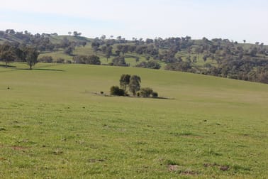 Kanimbla Hume Hwy Tarcutta NSW 2652 - Image 3