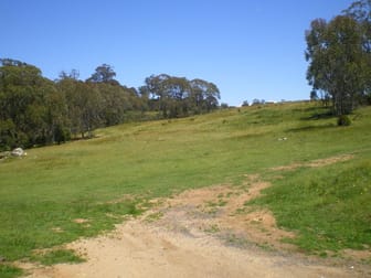 1 Jarake Road Nimmitabel NSW 2631 - Image 3