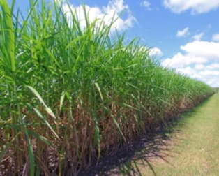 NEWMAN Road Innisfail QLD 4860 - Image 1