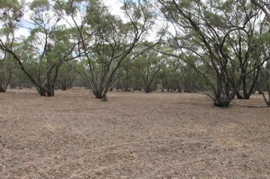 100 Burnt Clay Road Lubeck VIC 3385 - Image 1