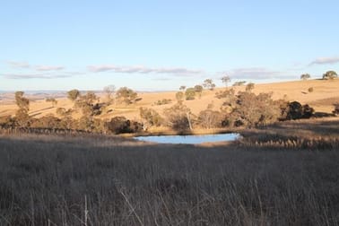 1591 Mitchell Highway Bathurst NSW 2795 - Image 3