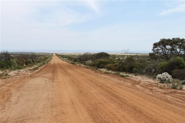 10775 Binnu West Road Binnu WA 6532 - Image 1