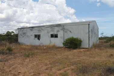 10775 Binnu West Road Binnu WA 6532 - Image 2