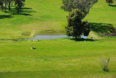 621 NAROOGAL ROAD Bakers Swamp NSW 2820 - Image 1