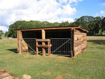 99  Middle Pocket Road Billinudgel NSW 2483 - Image 3