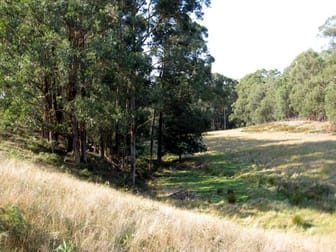 1334 Main Neerim Road Neerim South VIC 3831 - Image 3