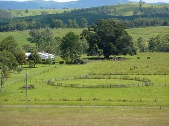 184 Pines Road Ettrick NSW 2474 - Image 2