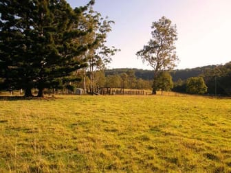 319 Middle Creek Road Kangaroo Creek NSW 2460 - Image 2