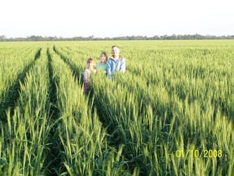 10 Goodooga - Jakelwar Road Dirranbandi QLD 4486 - Image 1