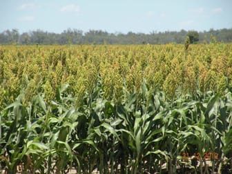 10 Goodooga - Jakelwar Road Dirranbandi QLD 4486 - Image 3