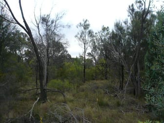 130 HARWOODS ROAD Tara QLD 4421 - Image 1