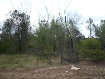 130 HARWOODS ROAD Tara QLD 4421 - Image 3