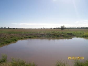 4771 ACRES WELL IMPROVED CATTLE PROPERTY Tara QLD 4421 - Image 3
