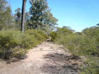 Click to view all images 172 TREGATHLYN ROAD Tara QLD 4421 - Image 1