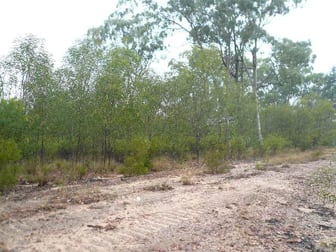 159 LUCKY ROAD Tara QLD 4421 - Image 3