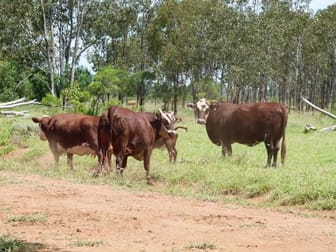 Click to view all images 1840 Unity Road St George QLD 4487 - Image 3