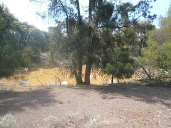 Click to view all images 222 KYTES ROAD Tara QLD 4421 - Image 3