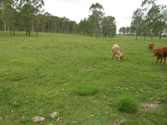 342 Four Mile Lane Clarenza NSW 2460 - Image 2