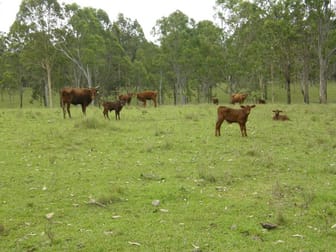 342 Four Mile Lane Clarenza NSW 2460 - Image 3