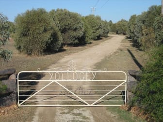 - "YOLLOGEY" Goondiwindi QLD 4390 - Image 2