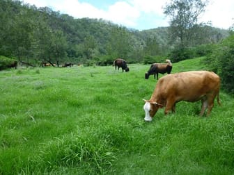 5819 Gwydir Highway Cangai NSW 2460 - Image 2
