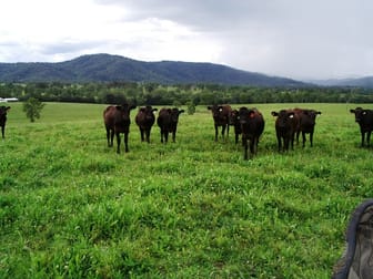 18 Coombadjha Road Coombadjha NSW 2460 - Image 2