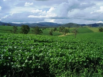 18 Coombadjha Road Coombadjha NSW 2460 - Image 3