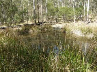 3266 Blacksmith Shop Rd Newton Boyd NSW 2370 - Image 2