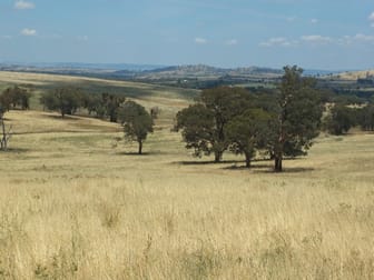 1925 Binni Creek Road Cowra NSW 2794 - Image 1