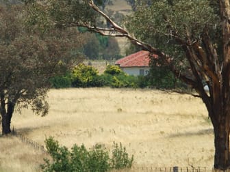 1925 Binni Creek Road Cowra NSW 2794 - Image 3