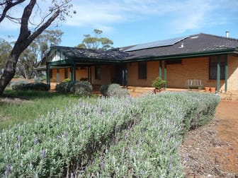 329 Buckingham Road Cold Harbour WA 6302 - Image 1