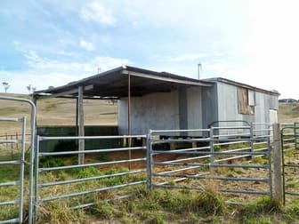 3319 Range Road Bannister NSW 2580 - Image 3