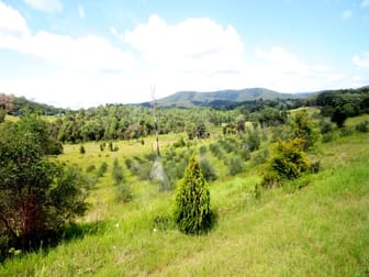 906 Pipeclay Road Pipeclay NSW 2446 - Image 2