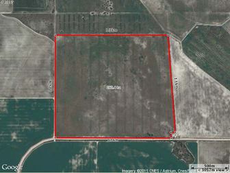 LOT 66 Strawberry North East Road Mingenew WA 6522 - Image 1