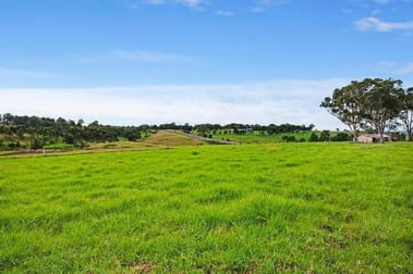 Lot 51 Lenaghans Drive Lenaghan NSW 2322 - Image 2
